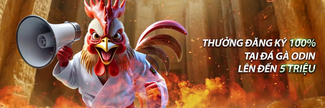 Đá Gà trực tiếp 79king